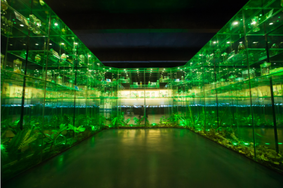 �Ї�(gu��)�x(ch��ng)�ݲ����^