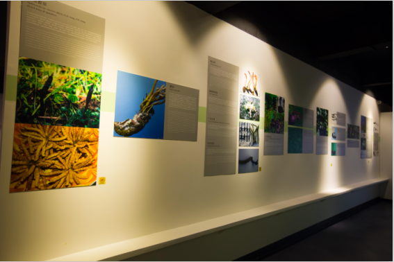 �Ї�(gu��)�x(ch��ng)�ݲ����^