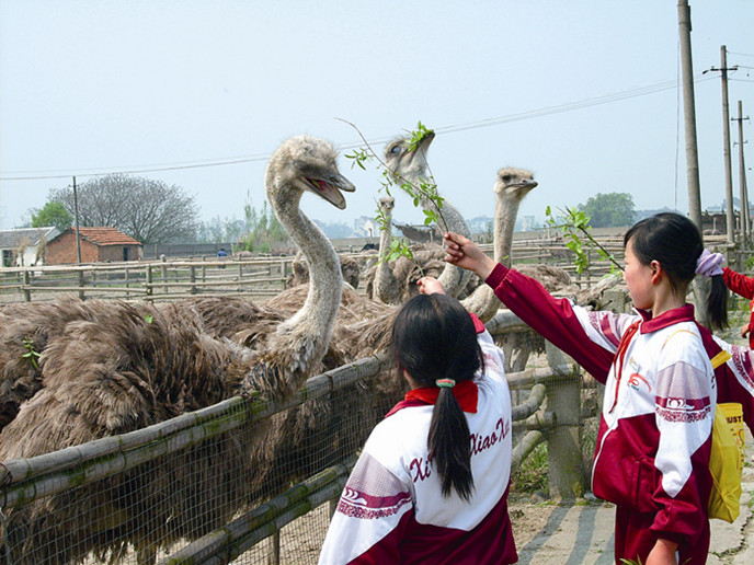 ƽ���аĶ����r(n��ng)�f