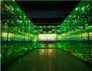 �Ї�(gu��)�x(ch��ng)�ݲ����^