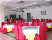 ��╞���Ƶ�