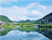 �F�݄P�������Z�����H��Ƶ�