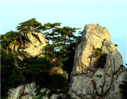 ����կ����