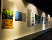 �Ї�(gu��)�x(ch��ng)�ݲ����^