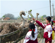 ƽ���аĶ����r(n��ng)�f