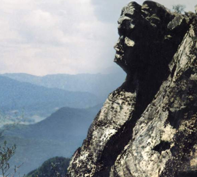 ����կ����